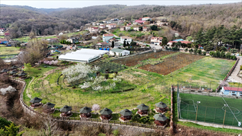 DJI_20250317161218_0009_D.JPG